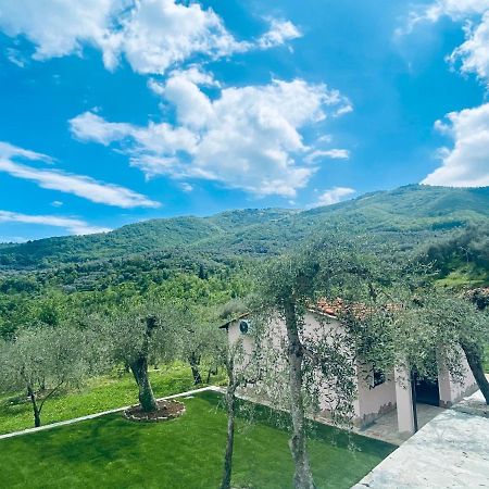Casa Vacanze Gli Ulivi Borgomaro Exterior photo