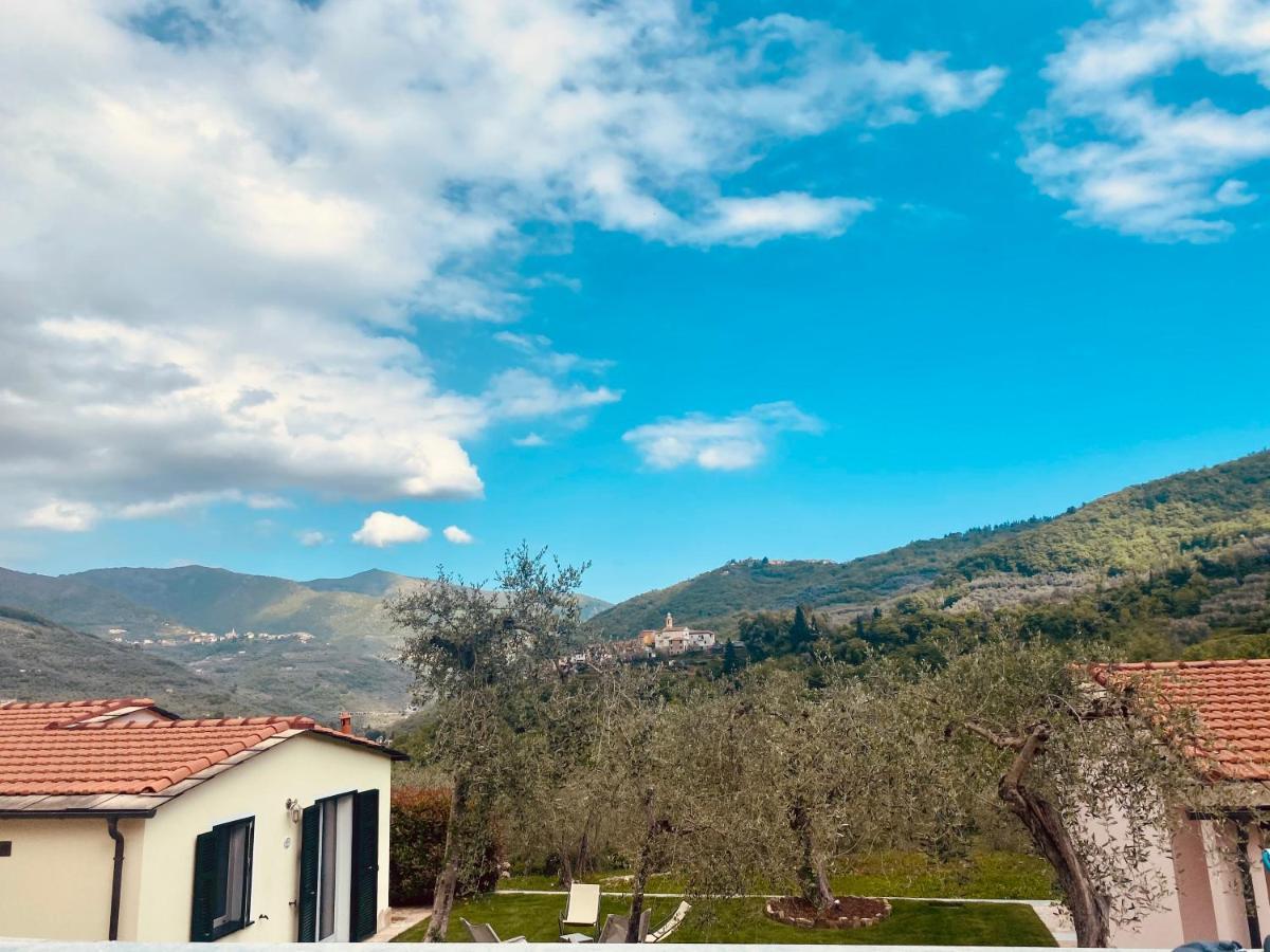 Casa Vacanze Gli Ulivi Borgomaro Exterior photo
